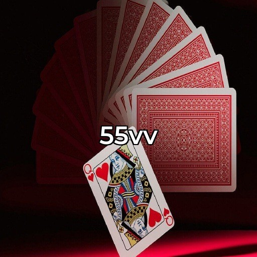 55vv